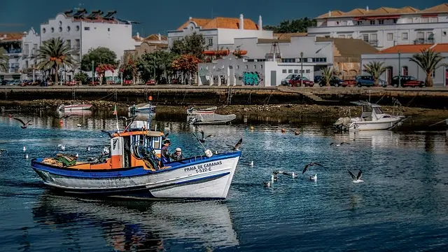 Únete y disfruta de una escapada al Algarve en grupo, el paraíso portugués de playas, surf y acantilados para disfrutar del verano en Portugal.