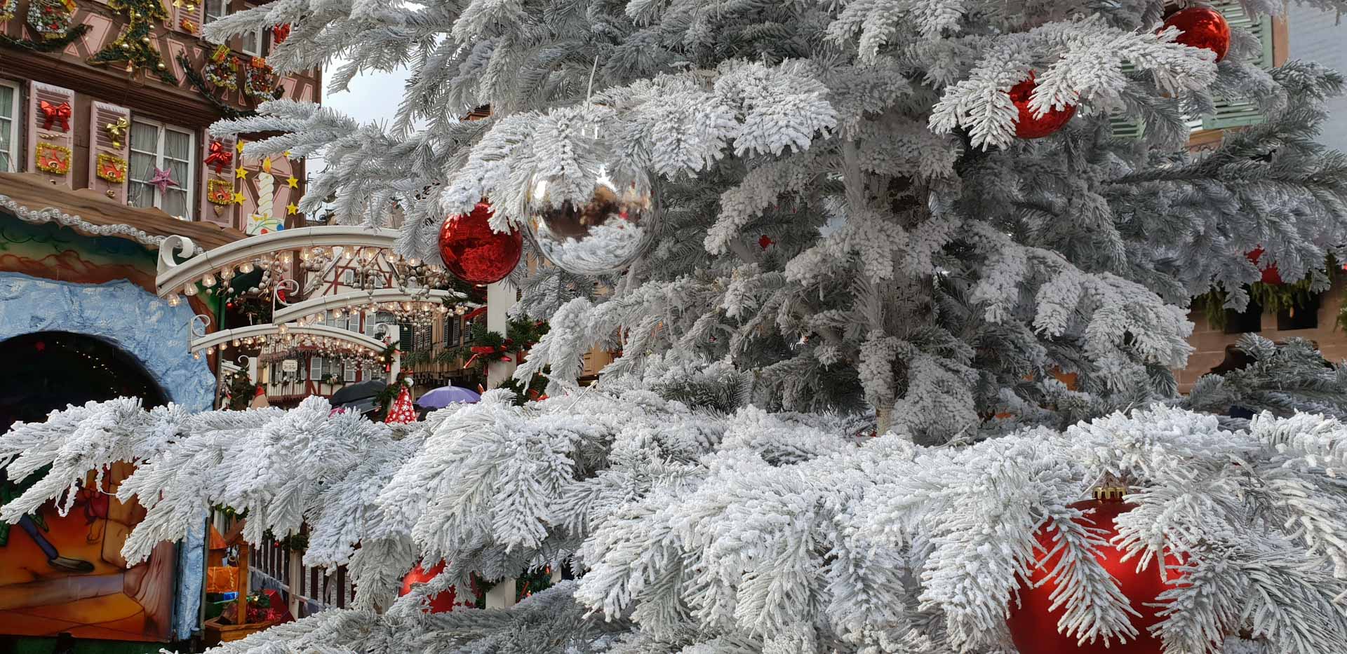 Vive la magia de la navidad en los pueblos más bonitos de esta región francesa. Llenos de viñedos y un ambiente mágico. Iremos a Colmar, Friburgo...