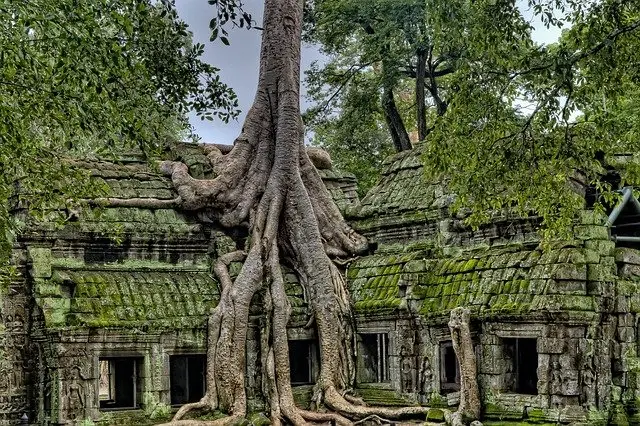 Un viaje a Camboya en grupo donde convivir con locales, conocer la Camboya más rural, sus playas y, por supuesto, su gran tesoro: Angkor Wat.