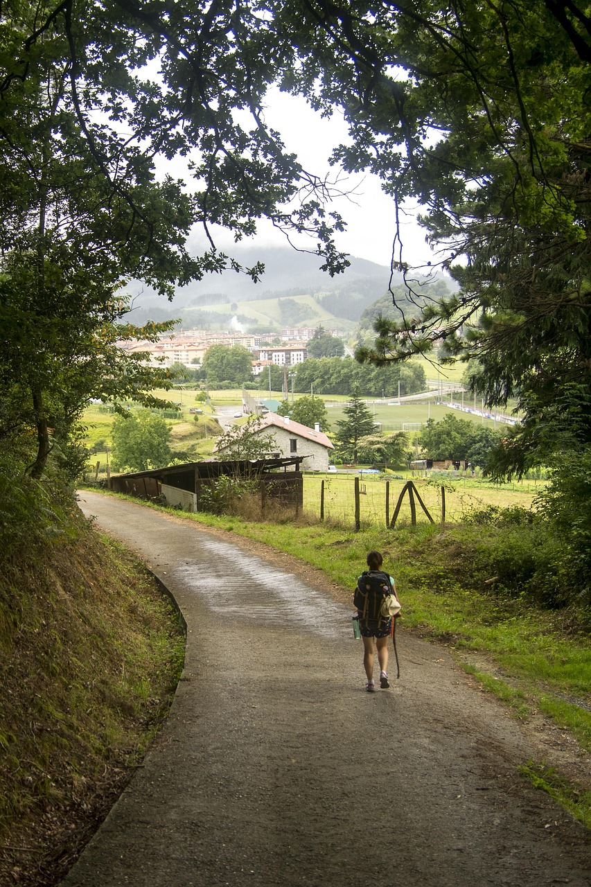 Recorre el Camino de Santiago Francés y vive una experiencia única en la que descubrirás la belleza de España a través de la historia y la cultura.