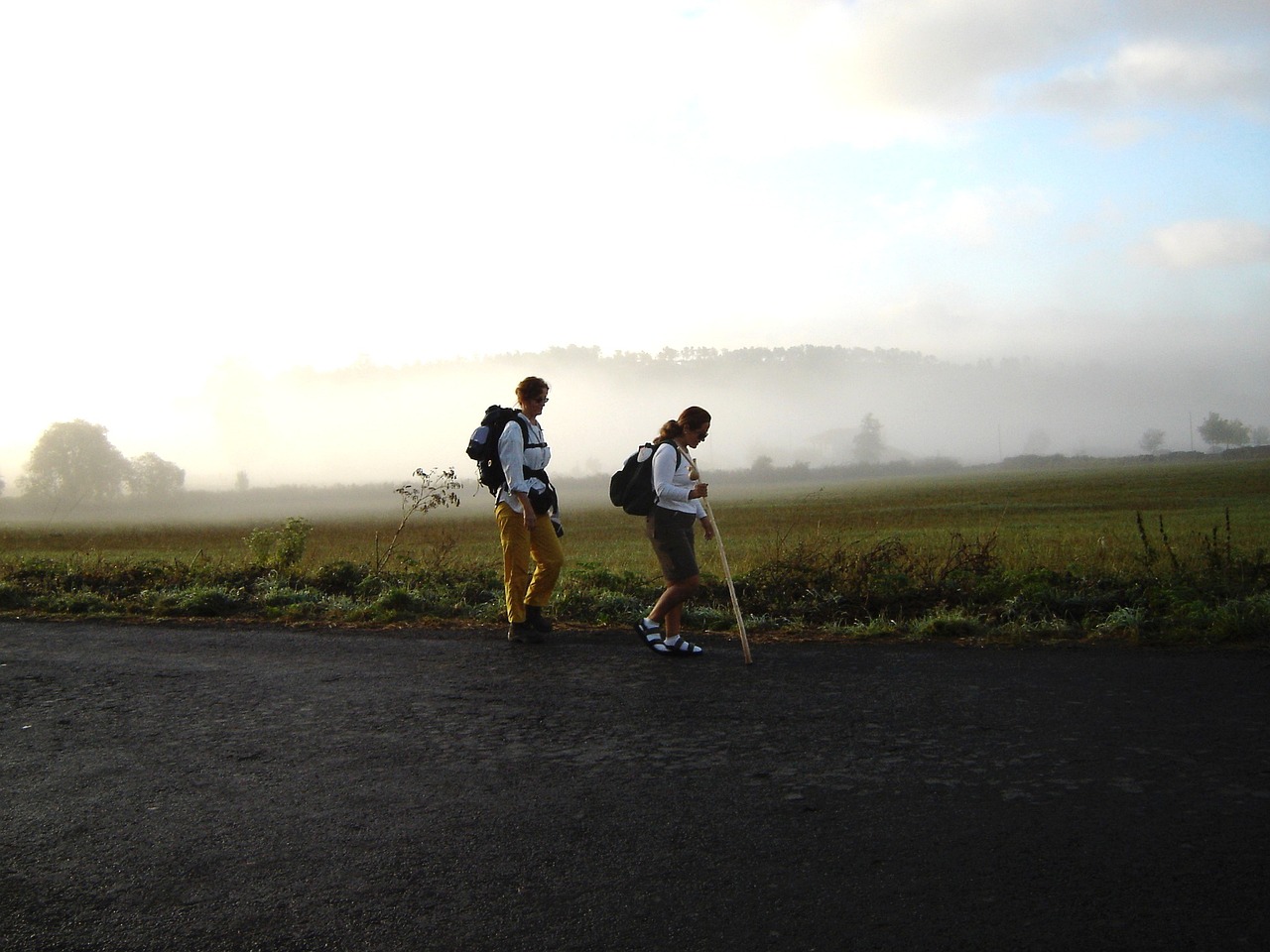 Recorre el Camino de Santiago Francés y vive una experiencia única en la que descubrirás la belleza de España a través de la historia y la cultura.