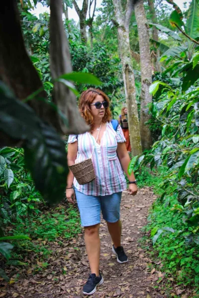 Experiencia cafetalera