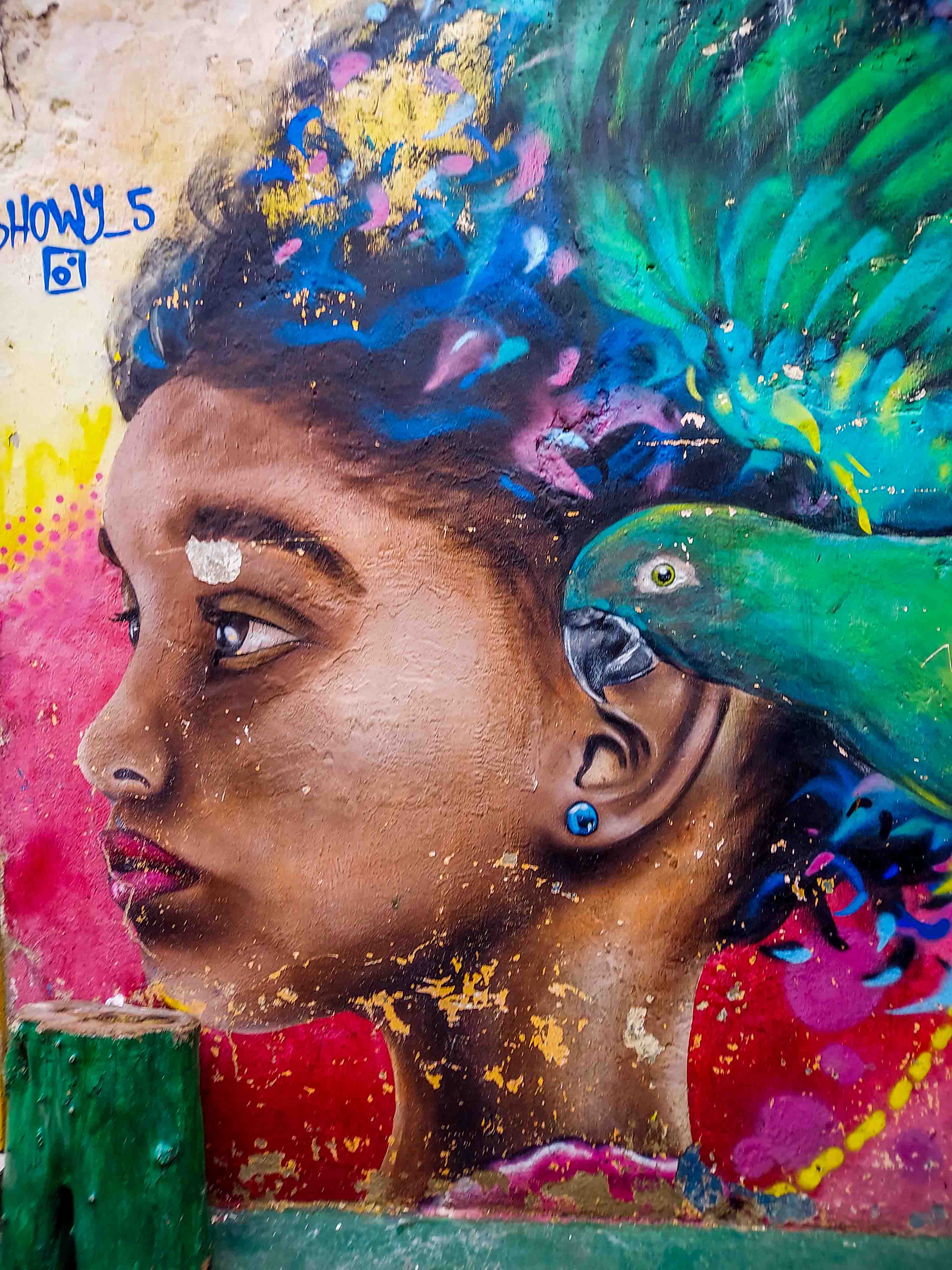 Únete al viaje organizado a Colombia en grupo reducido. Desde la costa caribeña hasta el eje cafetero. En esta ruta descubrirás la Colombia más diversa.