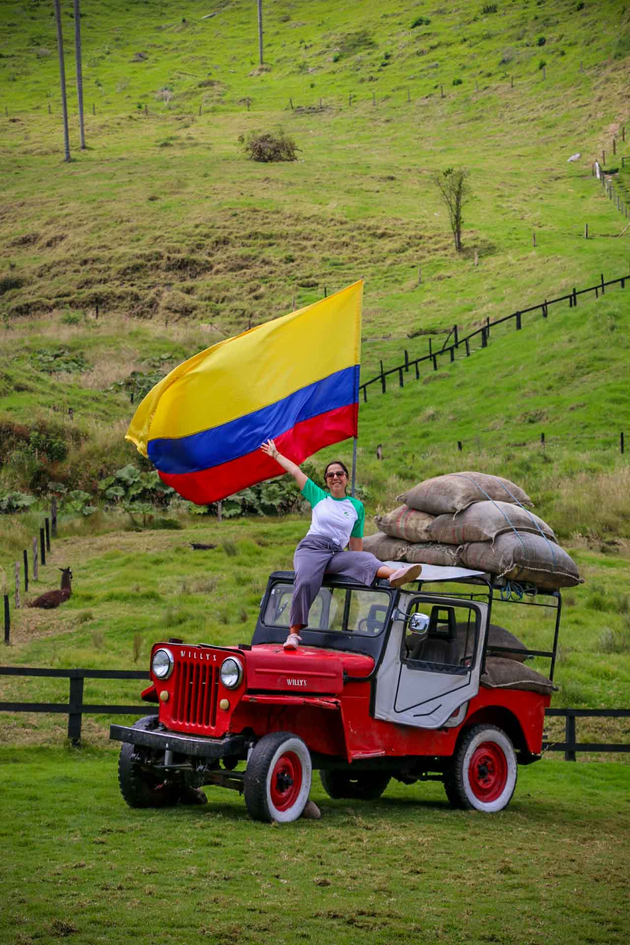 Únete al viaje organizado a Colombia en grupo reducido. Desde la costa caribeña hasta el eje cafetero. En esta ruta descubrirás la Colombia más diversa.