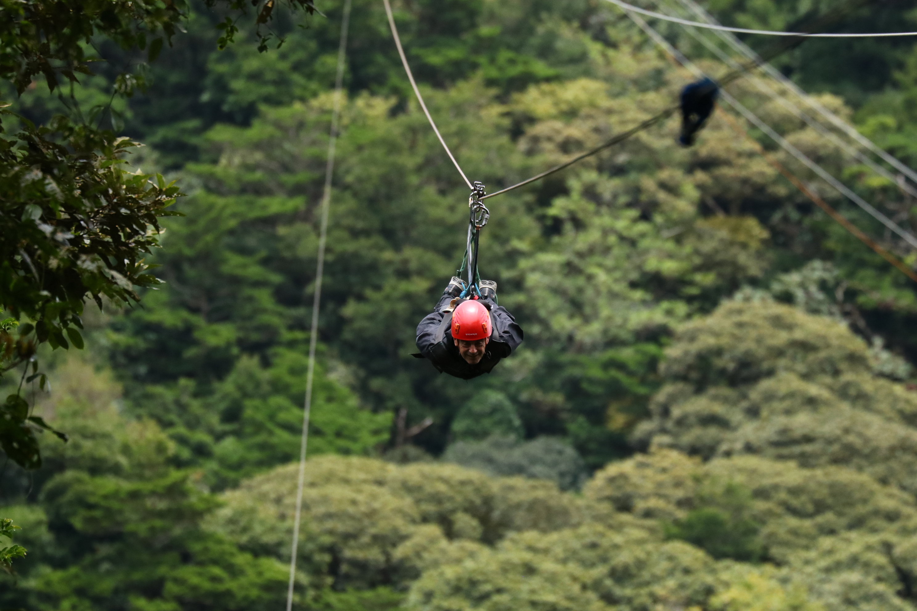 Aprende el auténtico significado de PURA VIDA y vive una aventura sorpresa sin precedentes. Desde Tortuguero, cruzando por el parque Monteverde