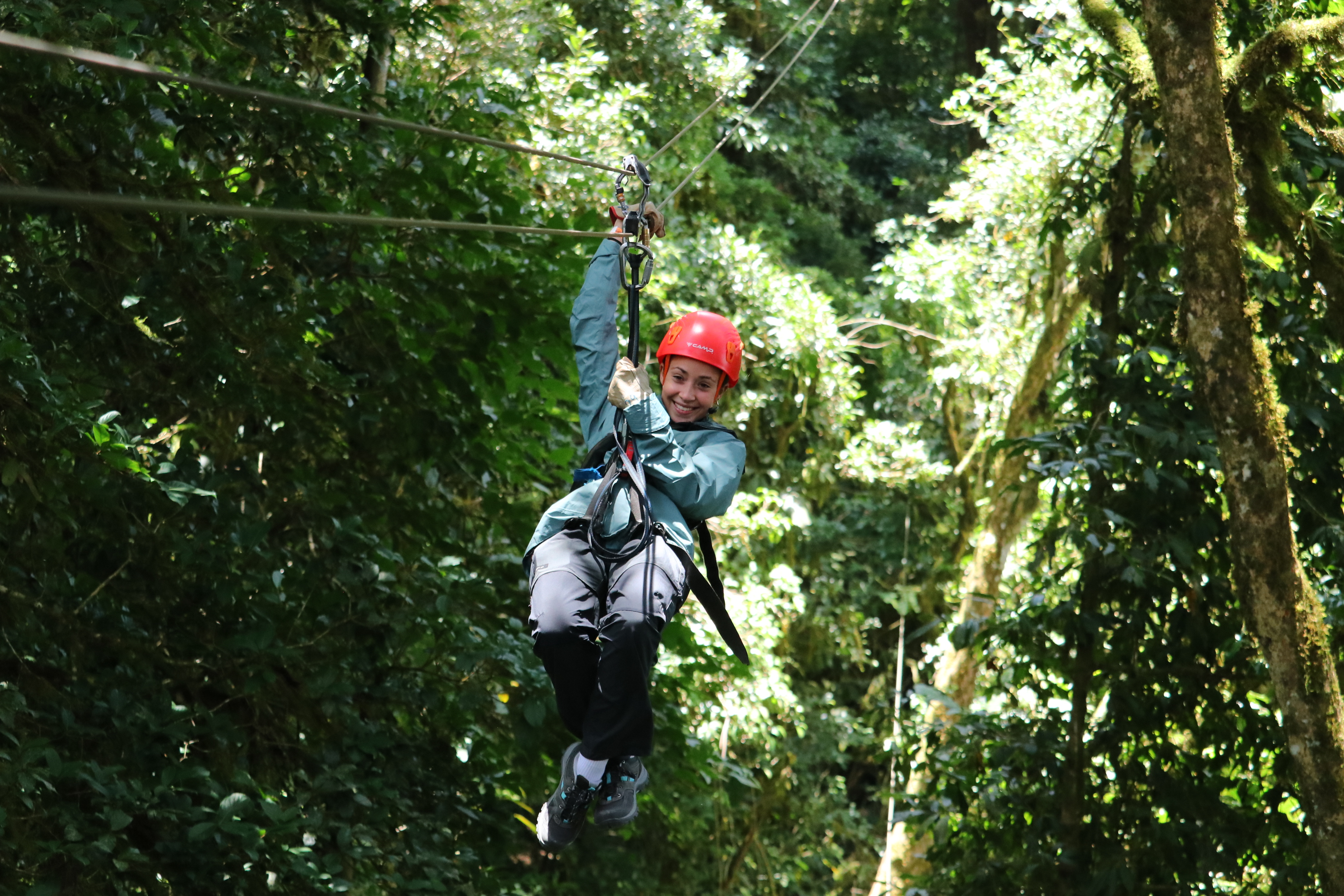 Aprende el auténtico significado de PURA VIDA y vive una aventura sorpresa sin precedentes. Desde Tortuguero, cruzando por el parque Monteverde