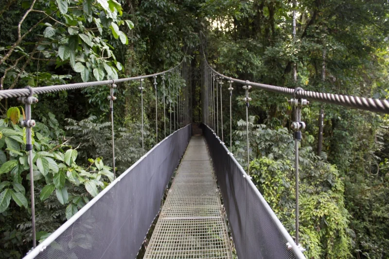 Ruta por puentes colgantes