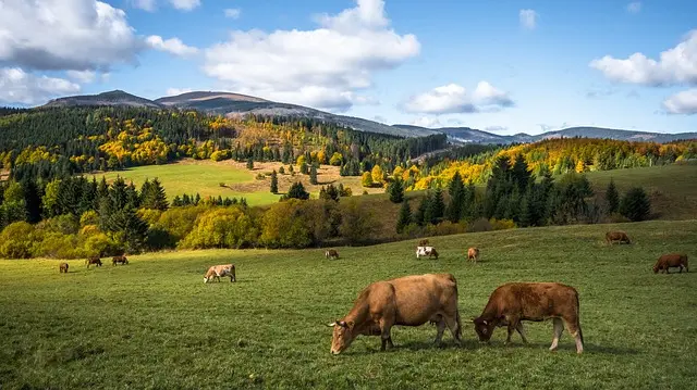 Viaja con nosotros a Eslovaquia en grupo si amas la naturaleza. Los Altos Tatras, un paraíso del senderismo, castillos, montes y cascadas increíbles.