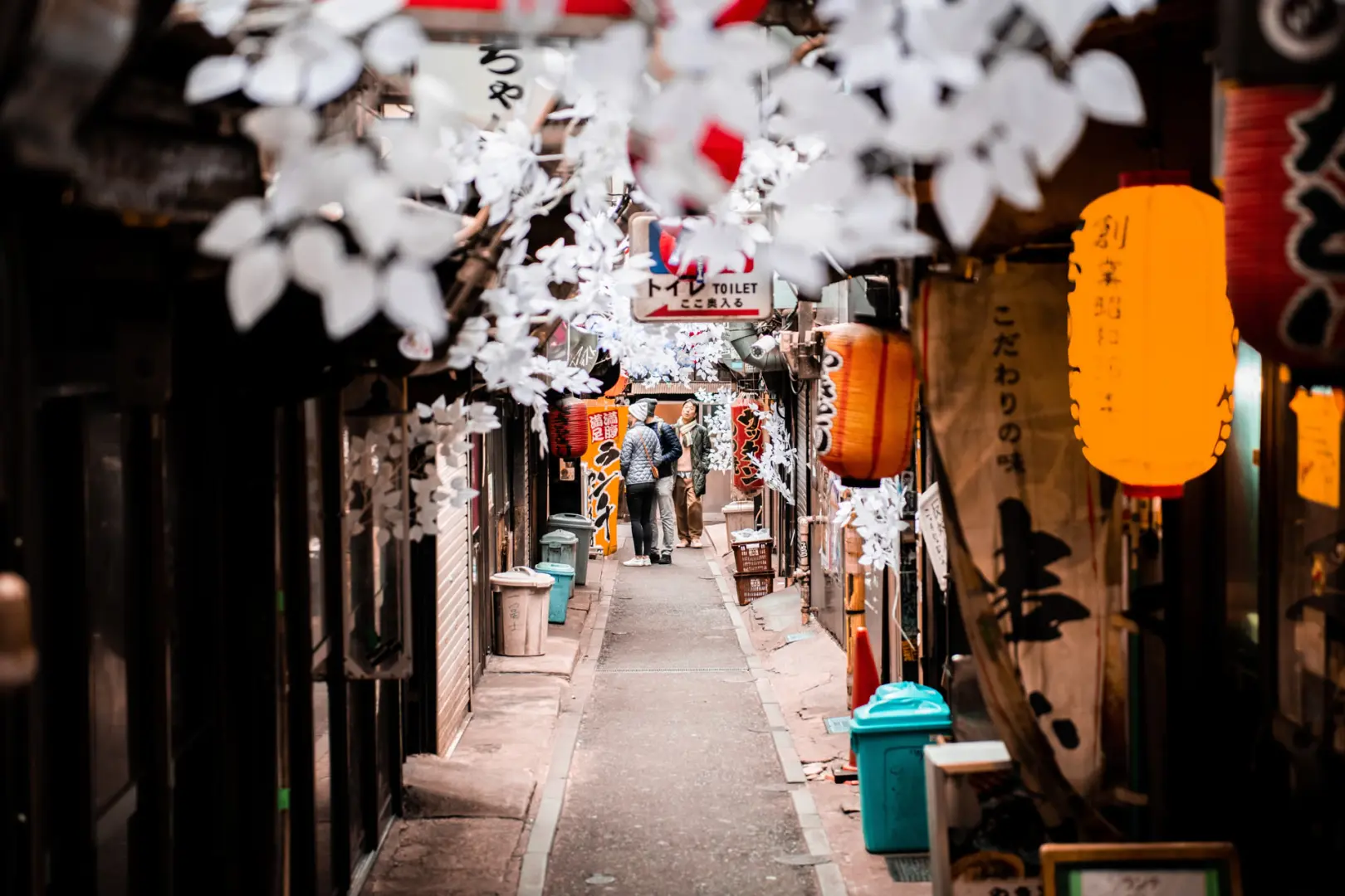 Disfruta de las maravillas de Japón en un viaje en grupo que no te dejará indiferente