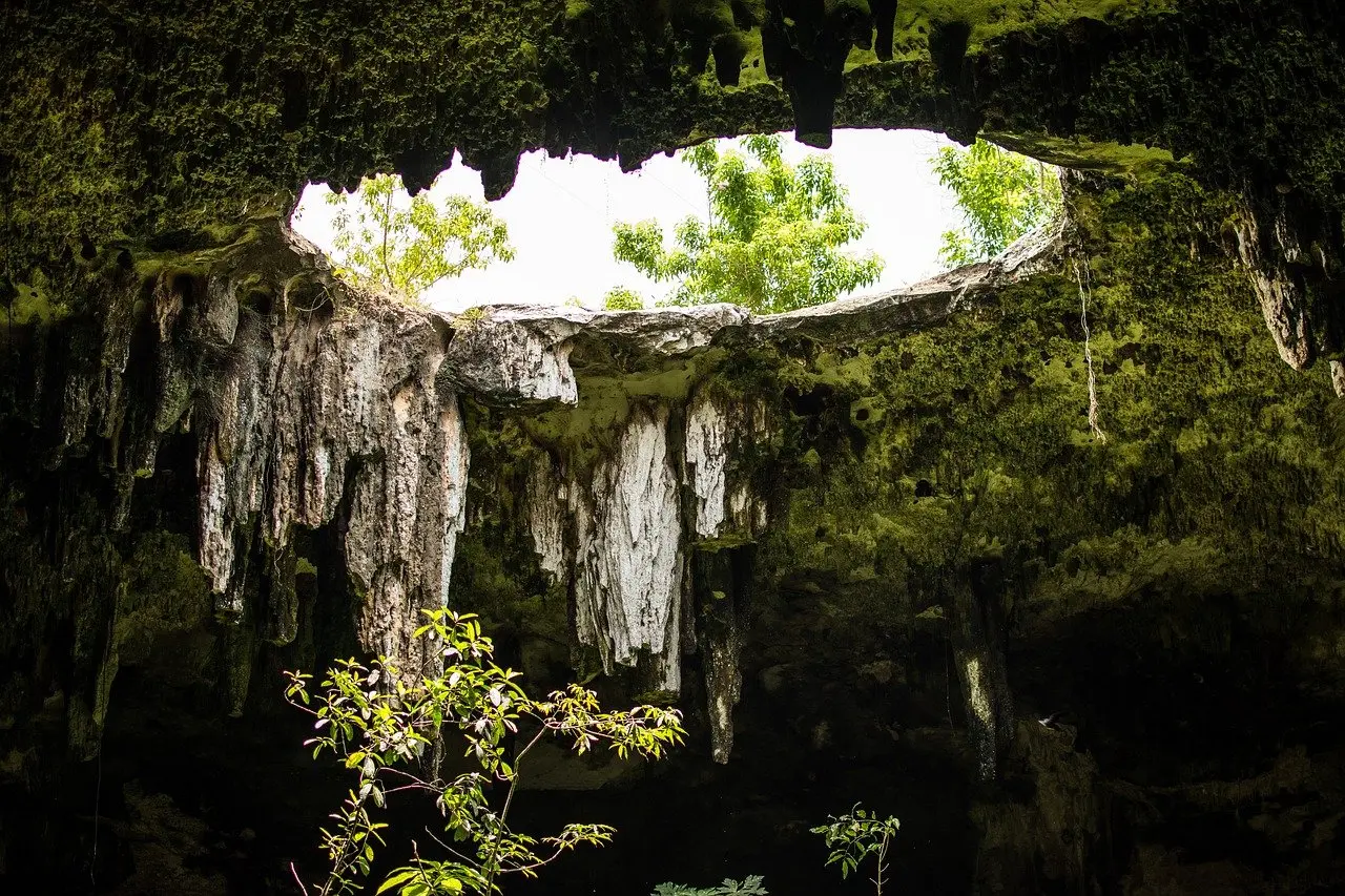 Viaja con nosotros de forma sorpresa por este paraíso del Caribe. Nos bañaremos en cenotes, exploraremos la jungla y Chichén Itzá