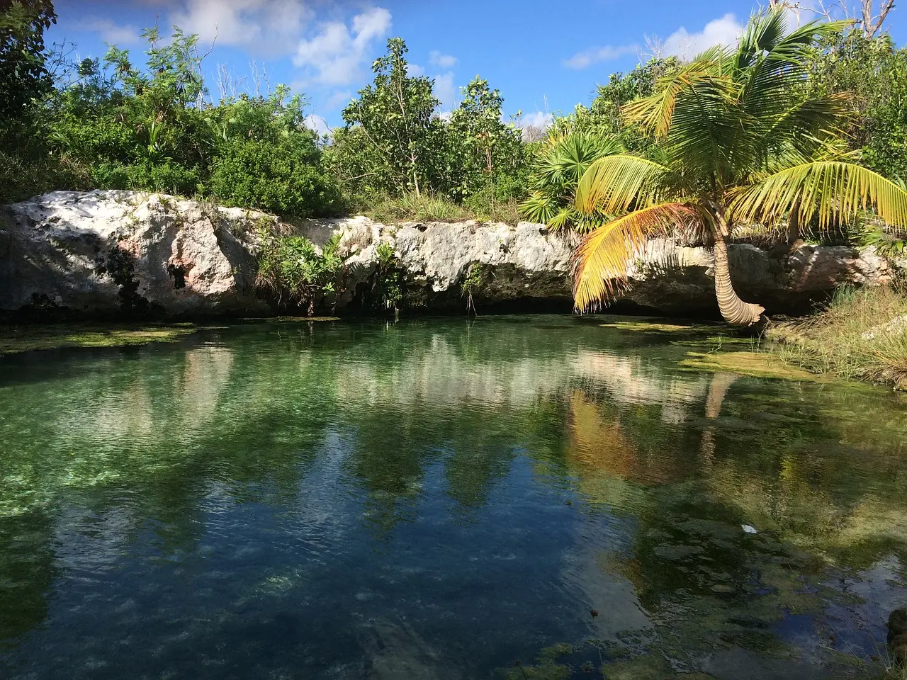 Viaja con nosotros de forma sorpresa por este paraíso del Caribe. Nos bañaremos en cenotes, exploraremos la jungla y Chichén Itzá