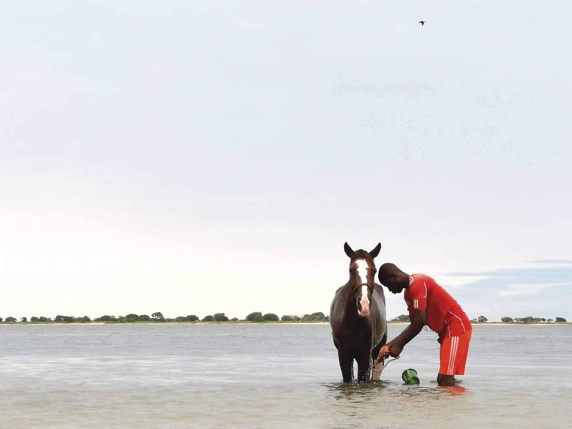 Descubre el país de las sonrisas. Viaja con un grupo a descubrir las maravillas del país Basari y alojándonos en campamentos solidarios.