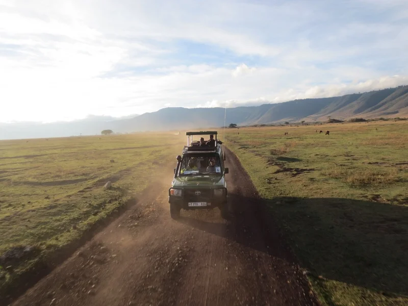 Safaris en nuestro vehículo privado