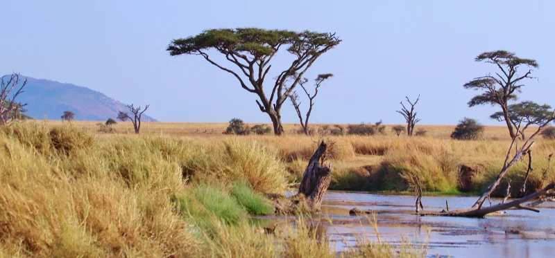 Vistar el Parque Nacional Serengeti y Ngorongoro